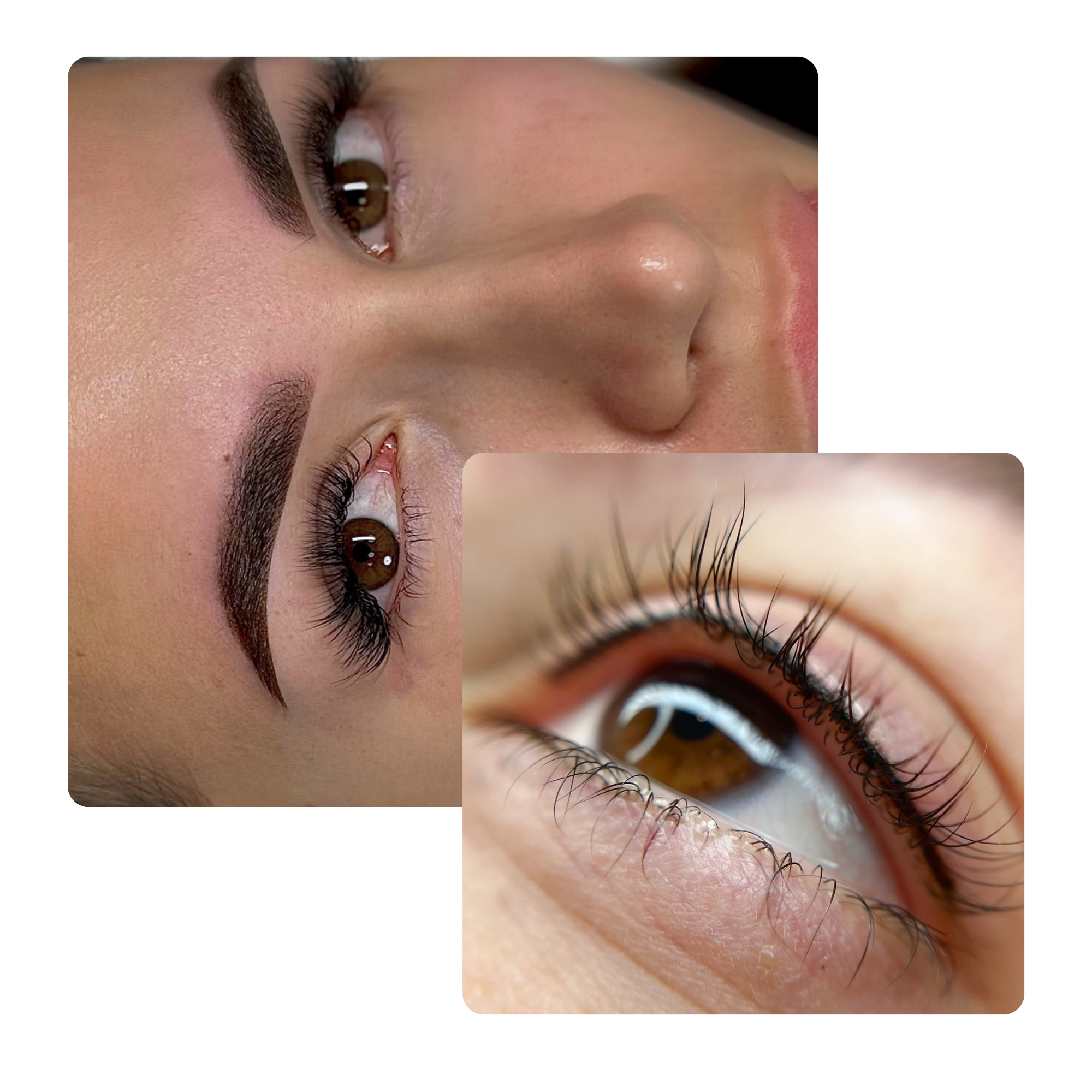 BROWS + Wimpernkranzverdichtung | Kombi Behandlung