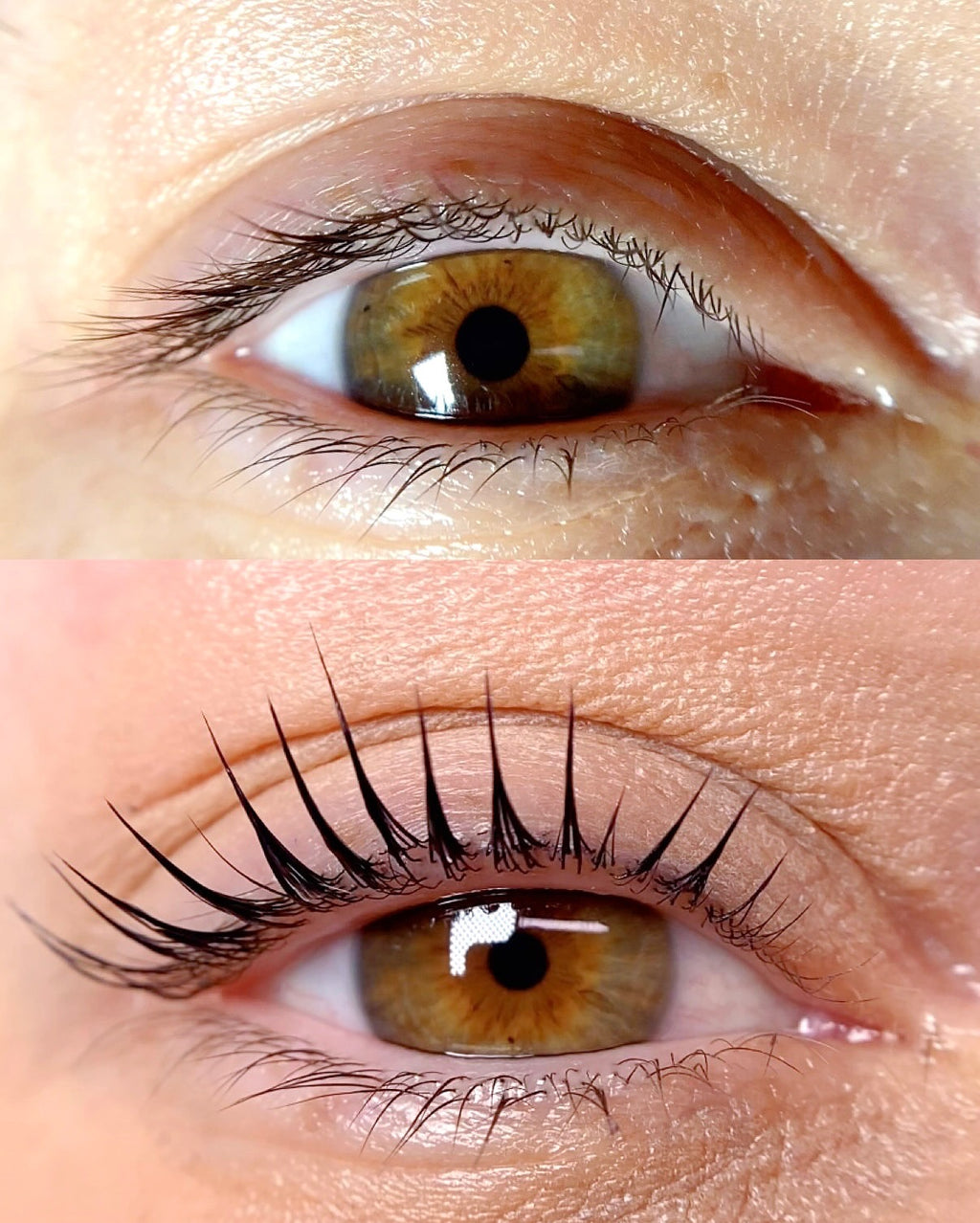 Korean Lash Lifting München