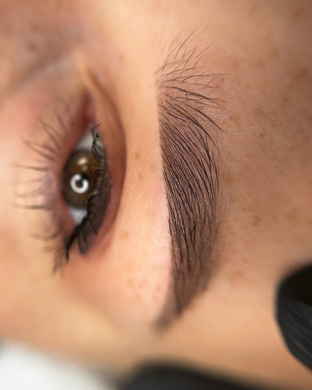 POWDER | OMBRE | SOFT BROWS