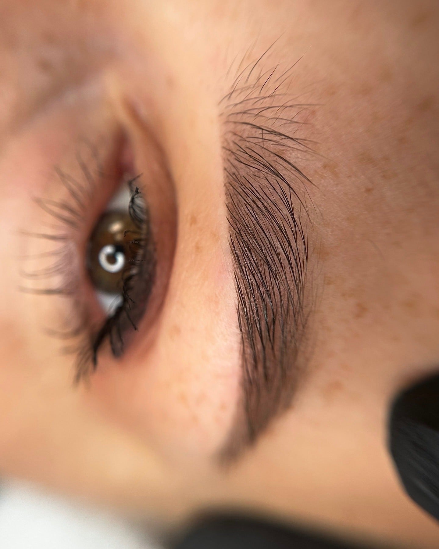 POWDER | OMBRE | SOFT BROWS