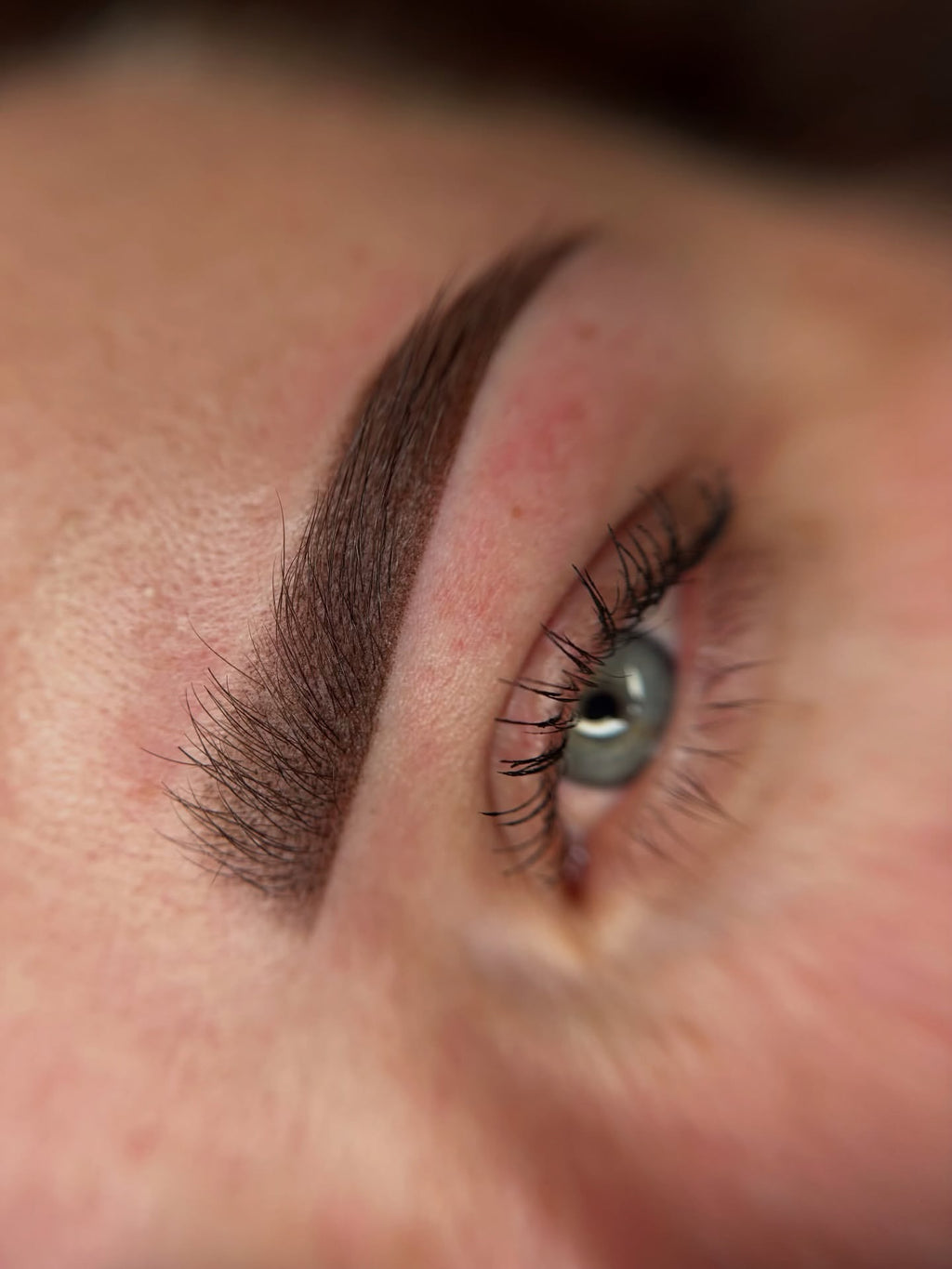 POWDER | OMBRE | SOFT BROWS