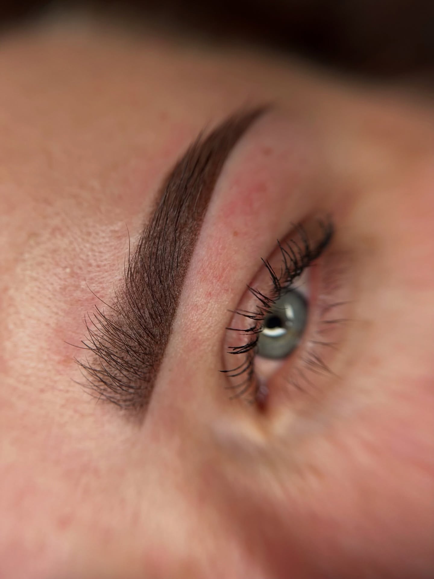 POWDER | OMBRE | SOFT BROWS