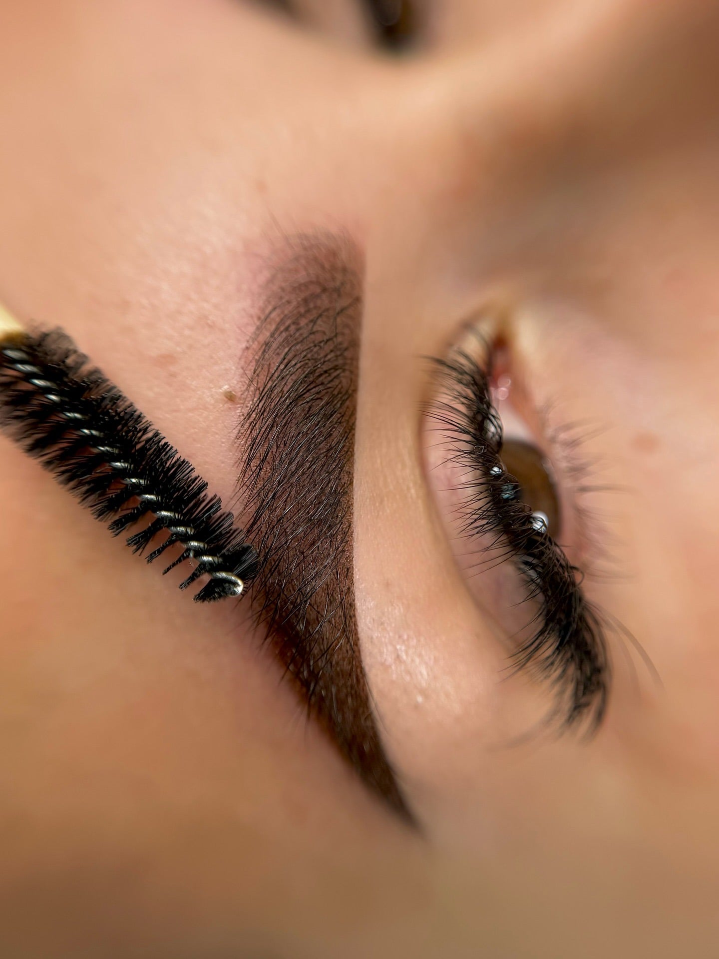 POWDER | OMBRE | SOFT BROWS