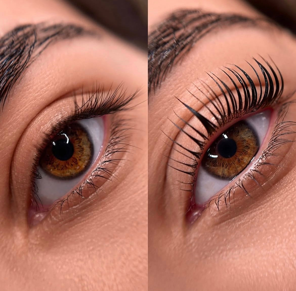 Korean Lash Lifting München By Eli Maz