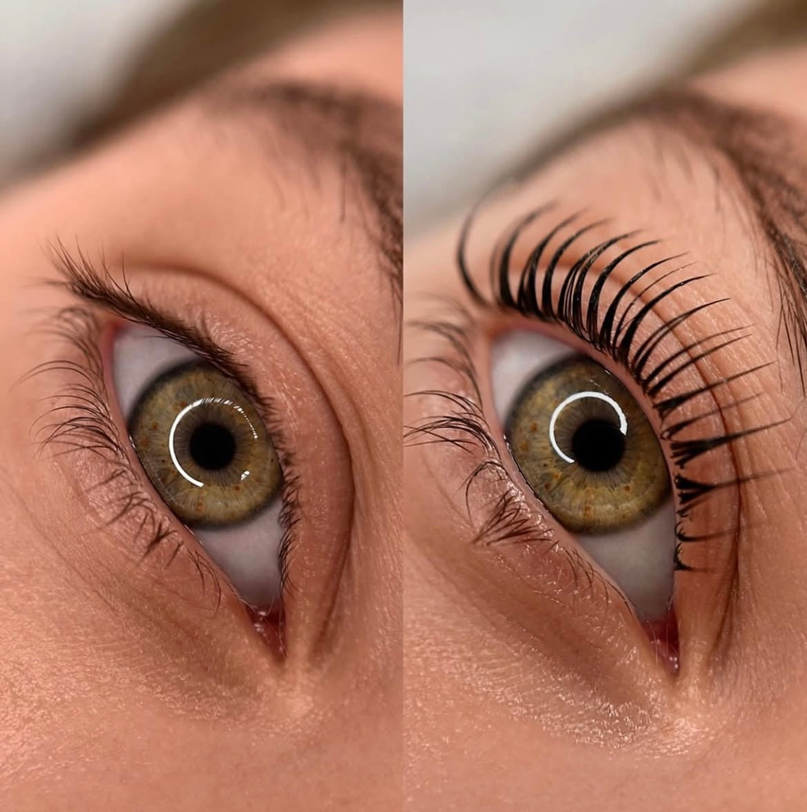 Korean Lash Lifting München By Eli Maz