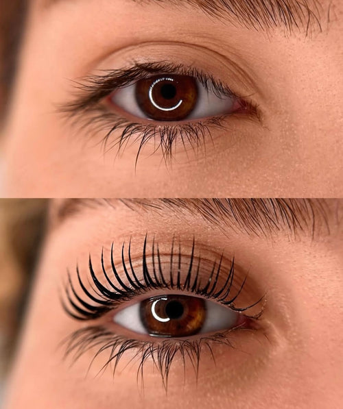 Korean Lash Lifting & Wimpernverlängerung in München – BY ELI MAZ