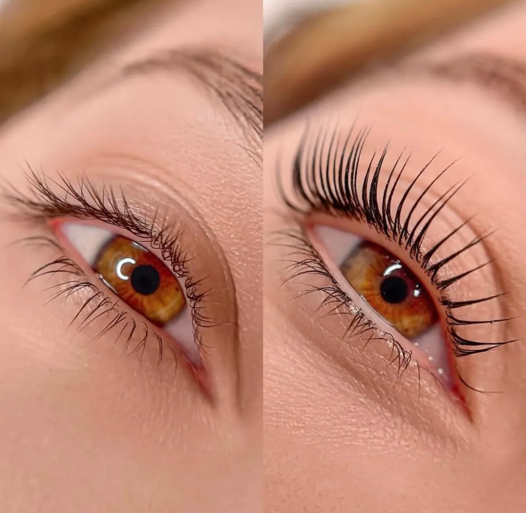 Korean Lash Lifting München By Eli Maz