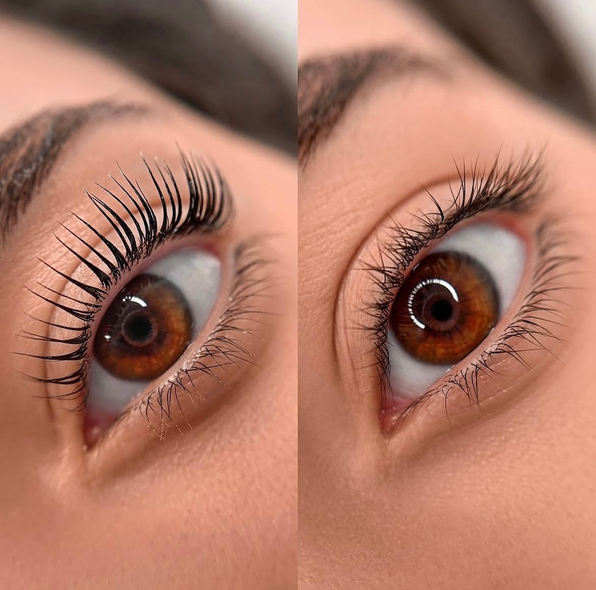 Korean Lash Lifting München By Eli Maz