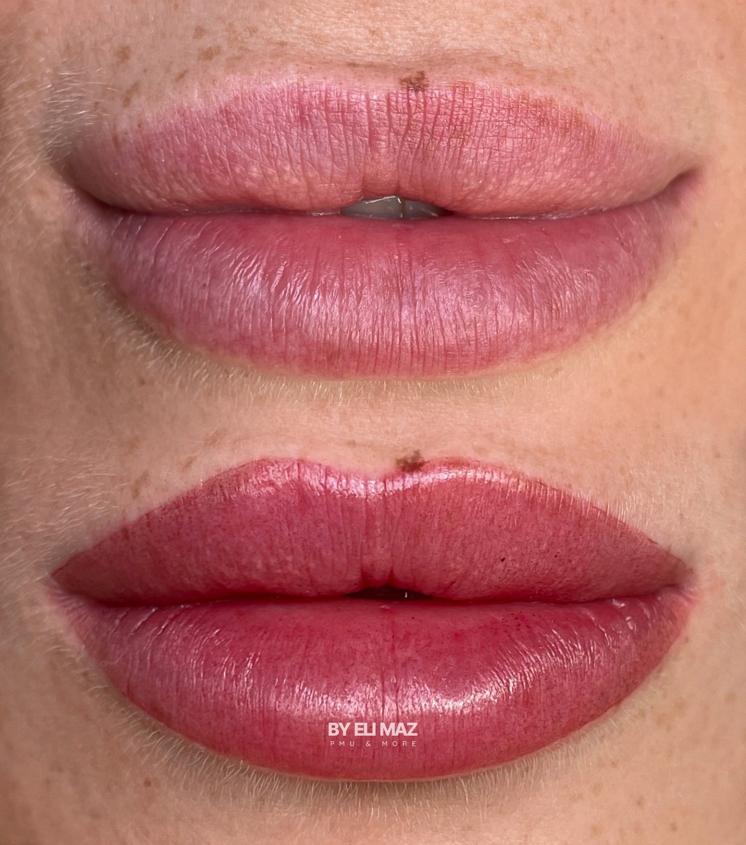 Lips & Brows Kombi - Permanent Make Up Ausbildung München