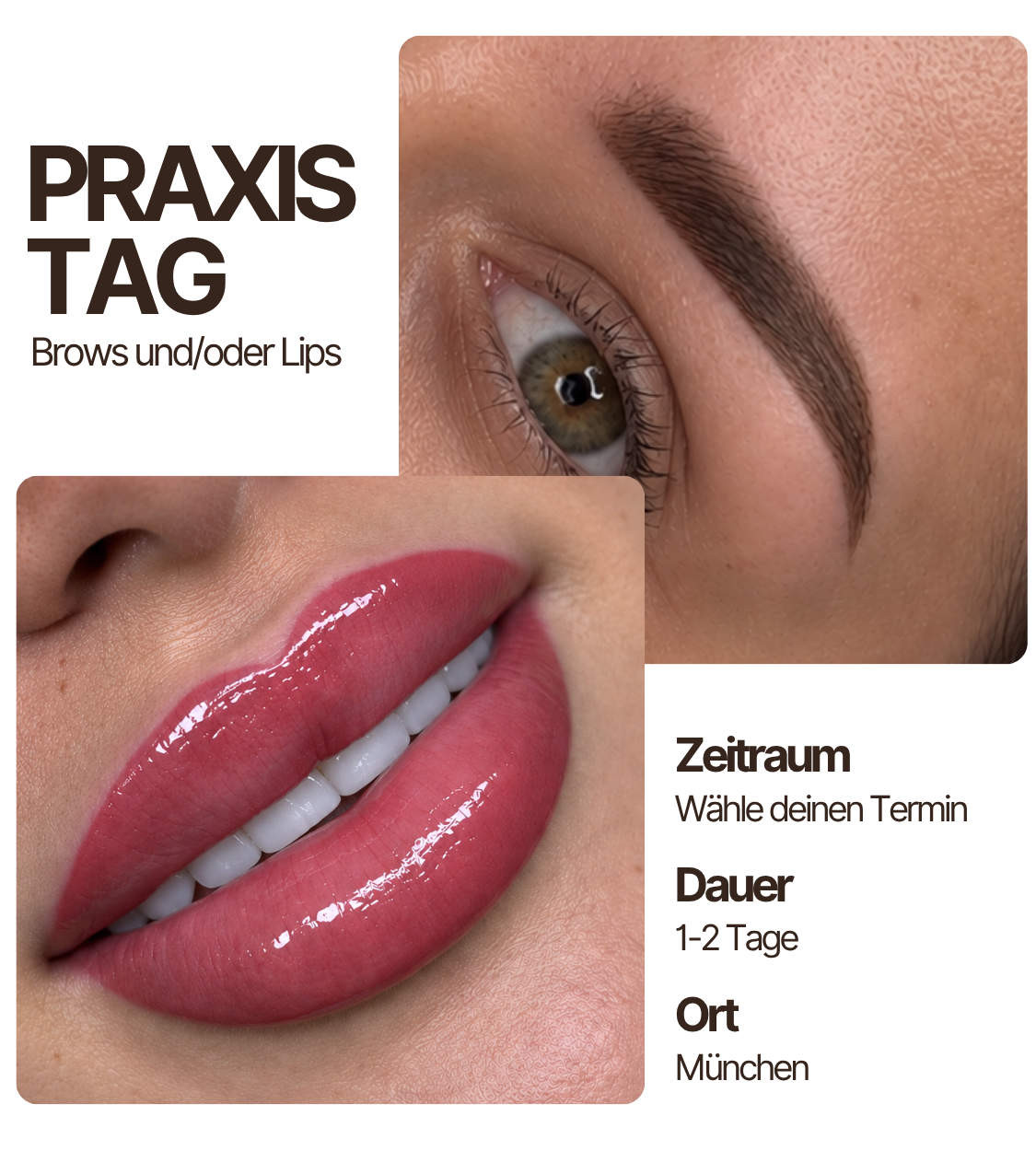 PMU Perfektionstraining – 1:1 Praxistag für Brows & Lips